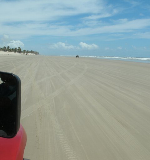 Day Use em Mangue Seco